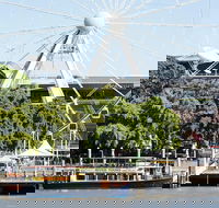 Brisbane River Cruise Morning - Grafton Accommodation