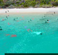 Stray Australia Brisbane to Cairns - Freestyle Travel Pass - Grafton Accommodation