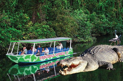 Daintree River Cruise - Grafton Accommodation 0