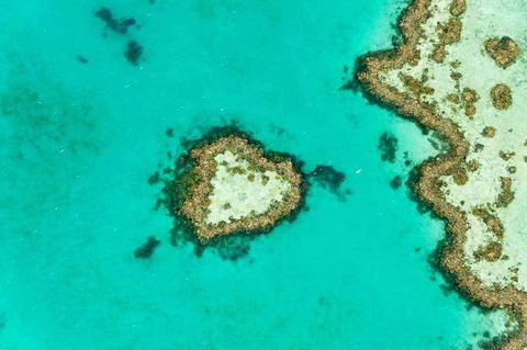 Whitsundays Seaplane Tours - Grafton Accommodation 3