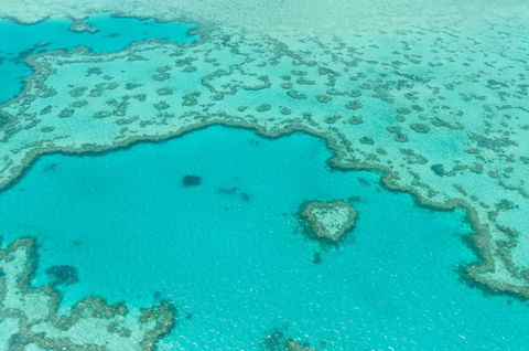 Whitsundays Seaplane Tours - Grafton Accommodation 2