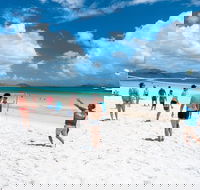 Whitehaven Beach and Hamilton Island Cruise - Grafton Accommodation