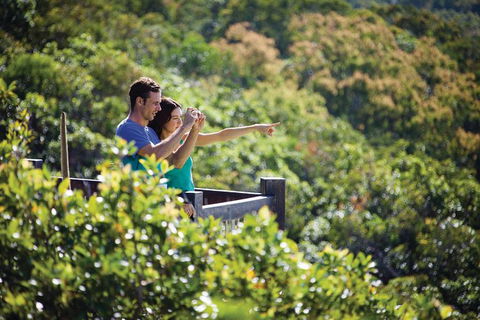 Conway National Park Coral Beach Walk Including Shute Harbour From Airlie Beach - Grafton Accommodation 0