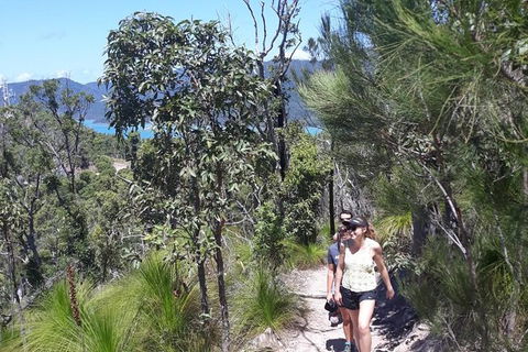 Scenic Guided Walk Up Mt Rooper For Best Whitsunday Views From Airlie Beach - Grafton Accommodation 1