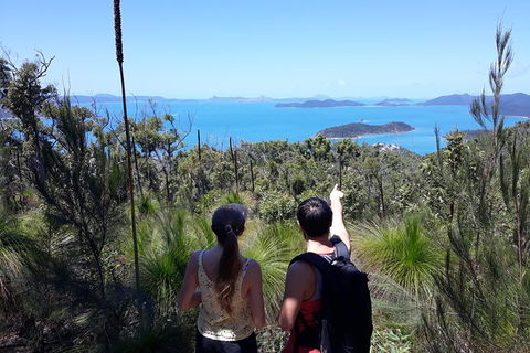 Scenic Guided Walk Up Mt Rooper For Best Whitsunday Views From Airlie Beach - Grafton Accommodation 0