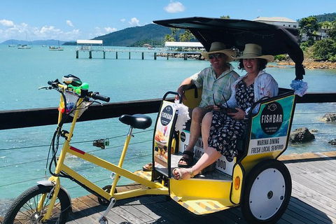 Private Airlie Beach Tuk-Tuk Tours - Grafton Accommodation 21