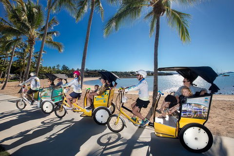 Private Airlie Beach Tuk-Tuk Tours - Grafton Accommodation 6
