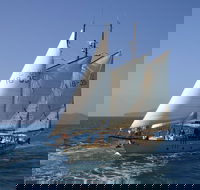 Tallship Sailing and Snorkeling Adventure from the Whitsundays - Grafton Accommodation