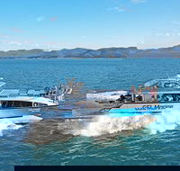 Whitsunday Island Boat Adventure - Grafton Accommodation