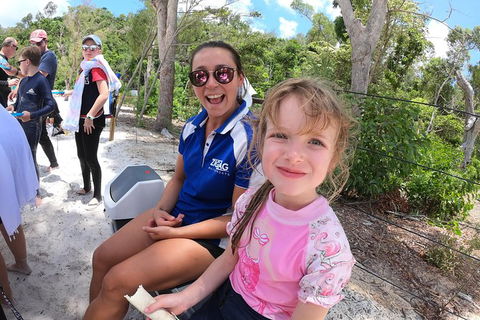 Whitehaven Beach Day Tour With Snorkel In Whitsundays Island - Grafton Accommodation 24