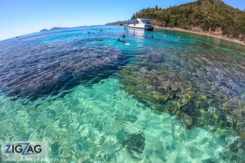 Whitehaven Beach Day Tour With Snorkel In Whitsundays Island - Grafton Accommodation 8