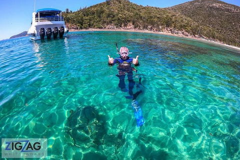 Whitehaven Beach Day Tour With Snorkel In Whitsundays Island - Grafton Accommodation 10