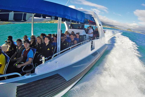 Whitehaven Beach Day Tour With Snorkel In Whitsundays Island - Grafton Accommodation 12