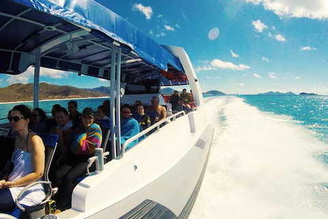 Whitehaven Beach Day Tour With Snorkel In Whitsundays Island - Grafton Accommodation 21