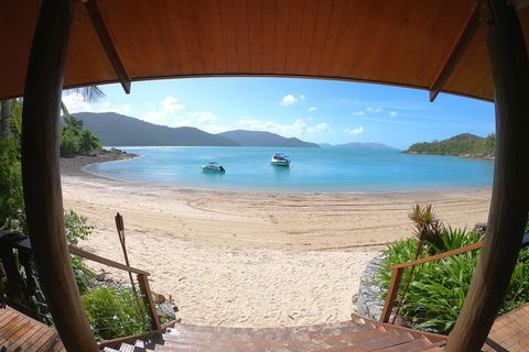 Whitehaven Beach Day Tour With Snorkel In Whitsundays Island - Grafton Accommodation 13