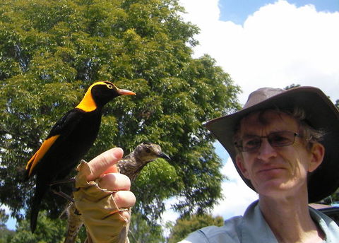 O'Reilly's Lamington National Park And Treetop Canopy Tour - Grafton Accommodation 4