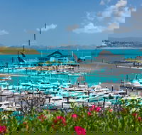 Three Island Guided Tour - Grafton Accommodation