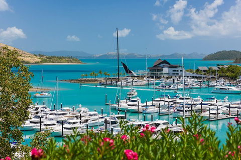 Three Island Guided Tour - Grafton Accommodation 0