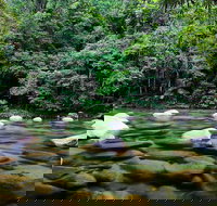 Mossman Silky Oaks to/from Cairns