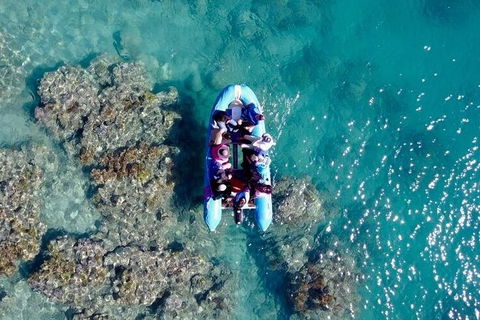 Glass-bottom Boat Tour With Whitehaven Beach - Grafton Accommodation 0