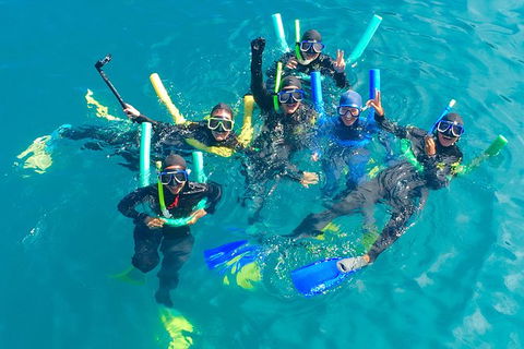 Glass-bottom Boat Tour With Whitehaven Beach - Grafton Accommodation 1