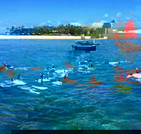 Low Island Snorkelling Private Charter Aboard Authentic Chinese Junk Boat