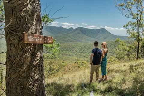 Queensland Food Tour: The Ultimate Delectable Full Day Experience - Grafton Accommodation 1