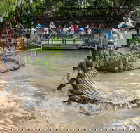 Hartley's Crocodile Adventures General Entry Ticket - Grafton Accommodation