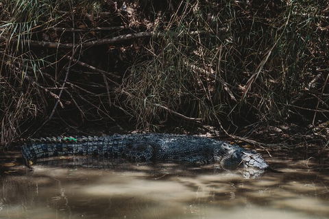Kakadu Full-Day Tour From Darwin With Lunch - Grafton Accommodation 13