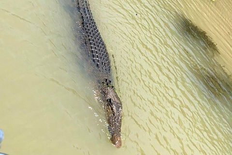 Kakadu & Katherine Gorge Full Day Air Tour, Helicopter & Cruise - Grafton Accommodation 6