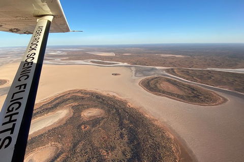 Scenic Flight: Lizard Safari - Grafton Accommodation 3