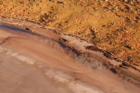 Scenic Flight: Lizard Safari - Grafton Accommodation 4