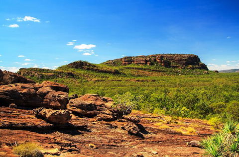Kakadu, Nourlangie And Yellow Waters Tour From Darwin - Grafton Accommodation 34