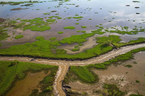 Kakadu National Park Scenic Flight - Grafton Accommodation 10
