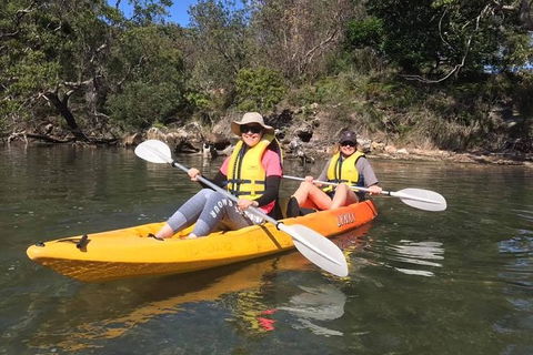 Paddle In Paradise - 4 Hours Double Kayak Hire - Grafton Accommodation 6