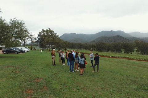 Hunter Valley Private Tour Including Wine, Chocolate, Cheese, Vodka, Gin Tasting - Grafton Accommodation 10