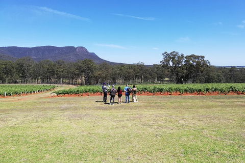 Hunter Valley Private Tour Including Wine, Chocolate, Cheese, Vodka, Gin Tasting - Grafton Accommodation 4