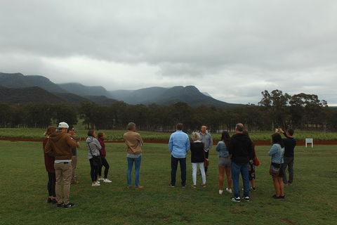 Hunter Valley Private Tour Including Wine, Chocolate, Cheese, Vodka, Gin Tasting - Grafton Accommodation 3