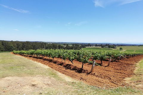 Hunter Valley Private Tour Including Wine, Chocolate, Cheese, Vodka, Gin Tasting - Grafton Accommodation 16