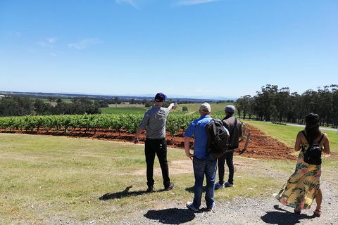 Hunter Valley Private Tour Including Wine, Chocolate, Cheese, Vodka, Gin Tasting - Grafton Accommodation 13