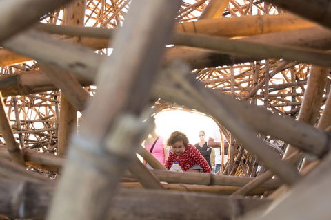 A Full Day In Sydney With A Local: Private & Personalized - Grafton Accommodation 5