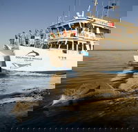 Jervis Bay Dolphin Watch Cruise - Grafton Accommodation