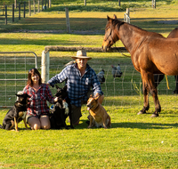 Meet The Animals