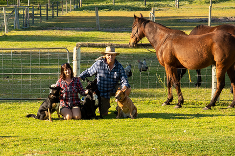 Meet The Animals - Grafton Accommodation 0