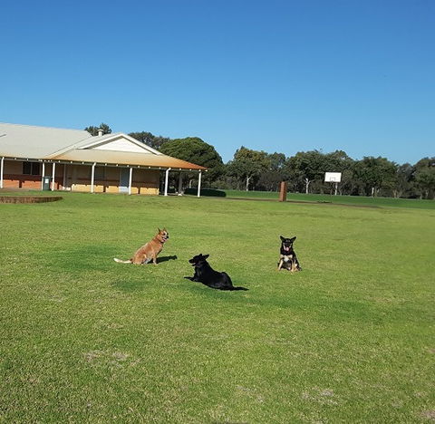 Meet The Animals - Grafton Accommodation 3
