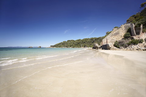 Cape Liptrap Coastal Park - Grafton Accommodation 1