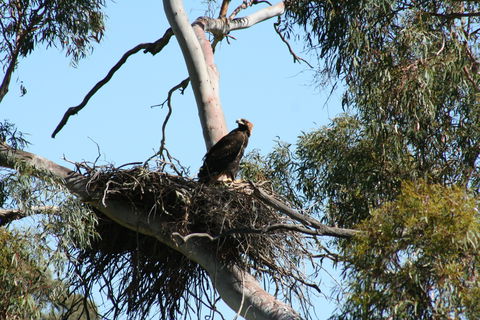 Castle Creek Reserve - Grafton Accommodation 0