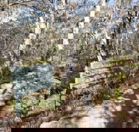 Cascades walking track and viewing platform - Grafton Accommodation