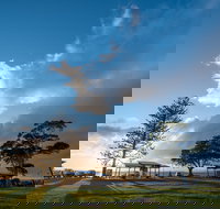 Cleveland Nandeebie/Indillie