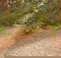 Daleys Point Walking Track - Grafton Accommodation